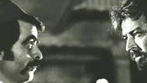 پلنگ در شب háttérkép
