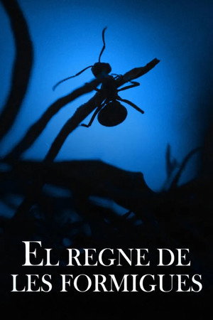 Le Royaume des fourmis poszter