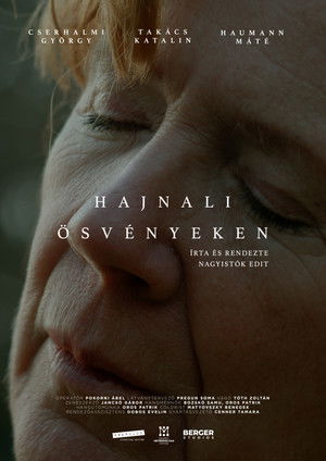 Hajnali ösvényeken poszter
