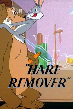 Hare Remover poszter