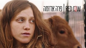 פרה אדומה háttérkép