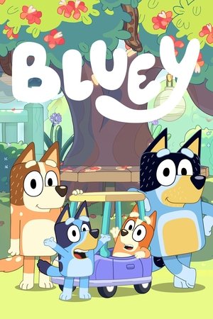 Bluey poszter