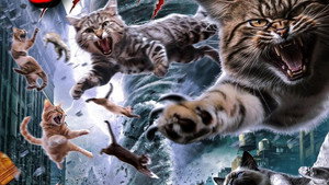 Catnado háttérkép