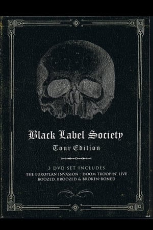 Black Label Society - Boozed, Broozed & Broken-Boned poszter