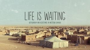 Life Is Waiting: Referendum and Resistance in Western Sahara háttérkép