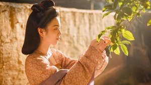 长安的荔枝 kép
