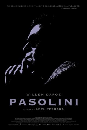 Pasolini poszter