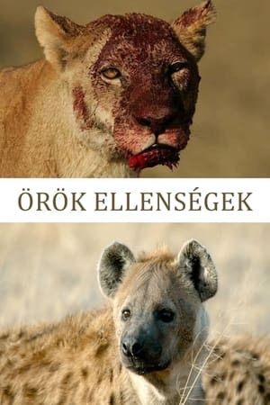 Örök ellenségek: Oroszlánok és hiénák