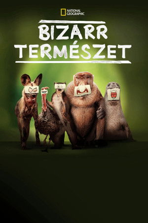 Bizarr természet poszter