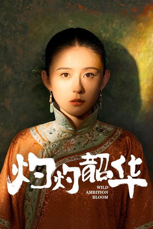 灼灼韶华 poszter