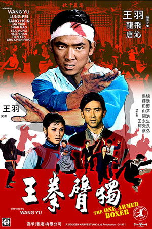 獨臂拳王 poszter