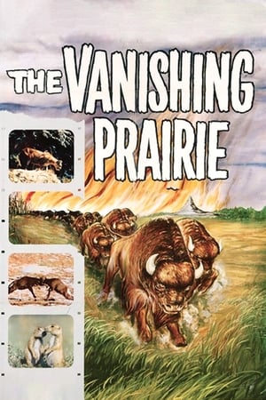 The Vanishing Prairie poszter