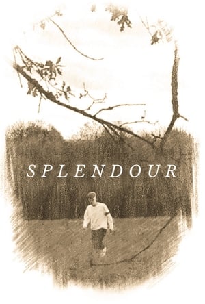 Splendour poszter