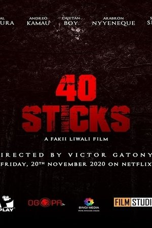 40 Sticks poszter