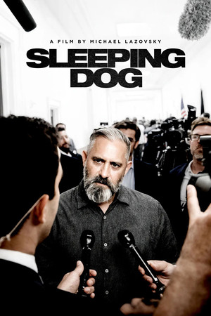 Sleeping Dog poszter