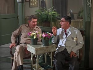 The Andy Griffith Show 7. évad Ep.12 12. epizód