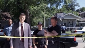 Homicide Hunter: Lt Joe Kenda Season 5 Ep.13 13. epizód