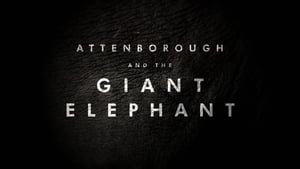 Attenborough and the Giant Elephant háttérkép