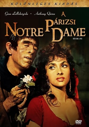 A párizsi Notre-Dame