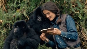 Dian Fossey: Secrets in the Mist kép