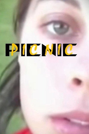 Picnic poszter