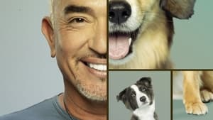 Cesar Millan: Jó gazdi, jó kutya kép