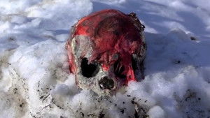 Camp Blood First Slaughter háttérkép