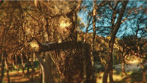 La Bestia en el Bosque háttérkép