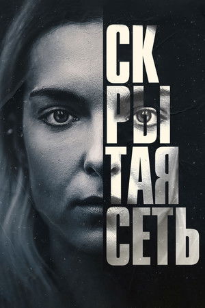 Ukryta sieć poszter