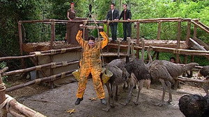 I'm a Celebrity...Get Me Out of Here! Season 7 Ep.7 7. epizód