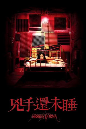 兇手還未睡 poszter