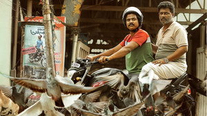 സൗദി വെള്ളക്ക háttérkép