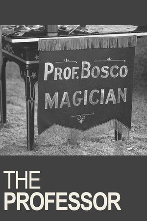 A professzor poszter
