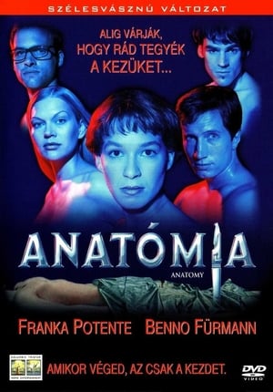 Anatómia