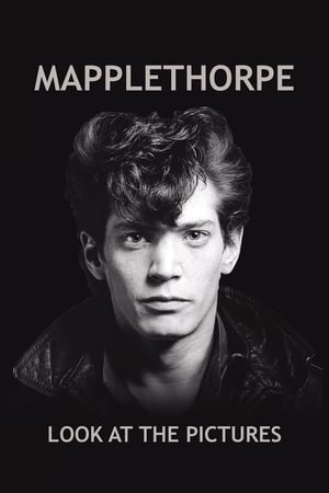 Mapplethorpe: Look at the Pictures poszter