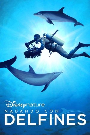 Diving with Dolphins poszter