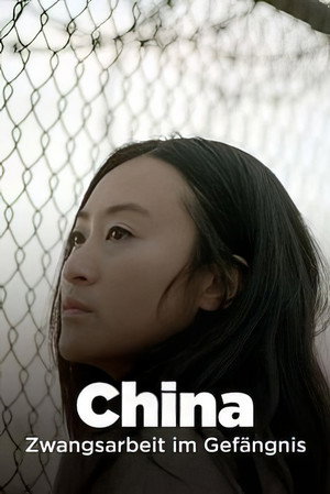 Travail forcé, le SOS d'un prisonnier chinois poszter