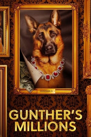 Gunther vagyona