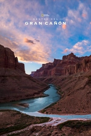 Into the Grand Canyon poszter