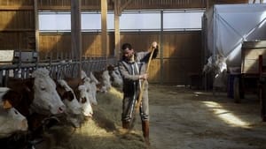 Cyrille, agriculteur, 30 ans, 20 vaches, du lait, du beurre, des dettes háttérkép