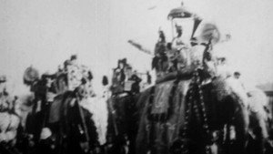 Procession of Elephants with Howdahs - India háttérkép