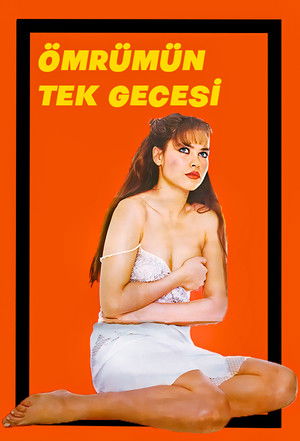 Ömrümün Tek Gecesi poszter