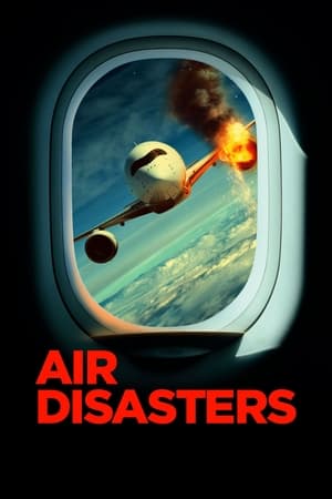 Air Disasters poszter