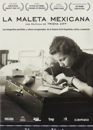 La maleta mexicana poszter