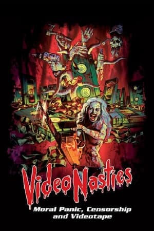 Video Nasties: Moral Panic, Censorship & Videotape poszter