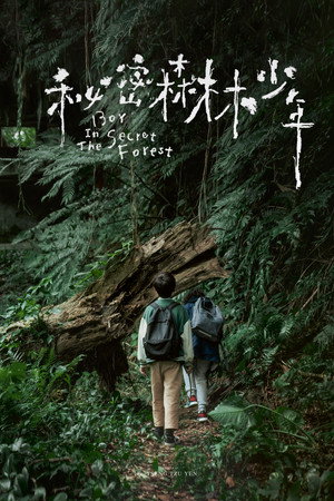 秘密森林少年 poszter