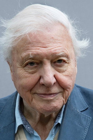 David Attenborough profil kép