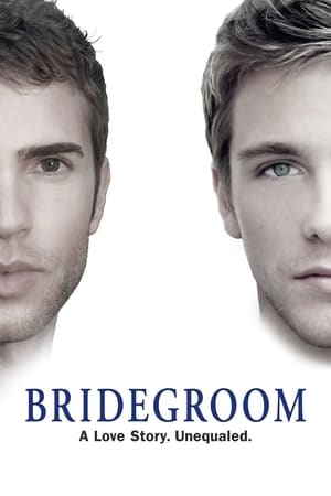 Bridegroom poszter