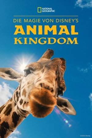 Magic of Disney's Animal Kingdom poszter
