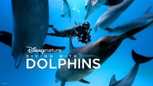 Diving with Dolphins háttérkép